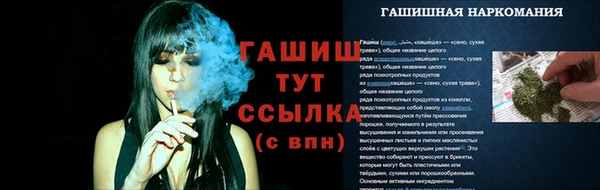 скорость Абаза