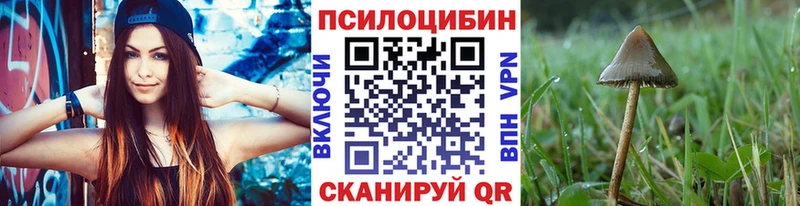 ссылка на мегу ССЫЛКА  Сафоново  Галлюциногенные грибы Psilocybe  наркотики 