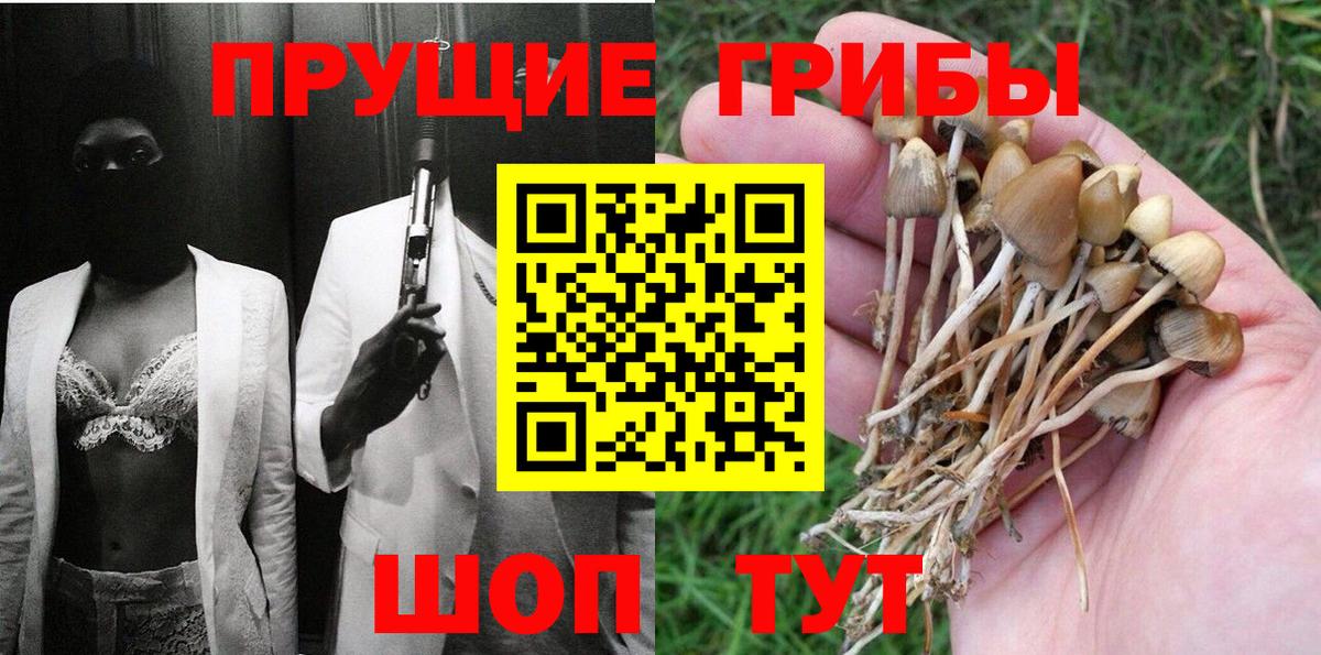 Галлюциногенные грибы MAGIC MUSHROOMS Сафоново