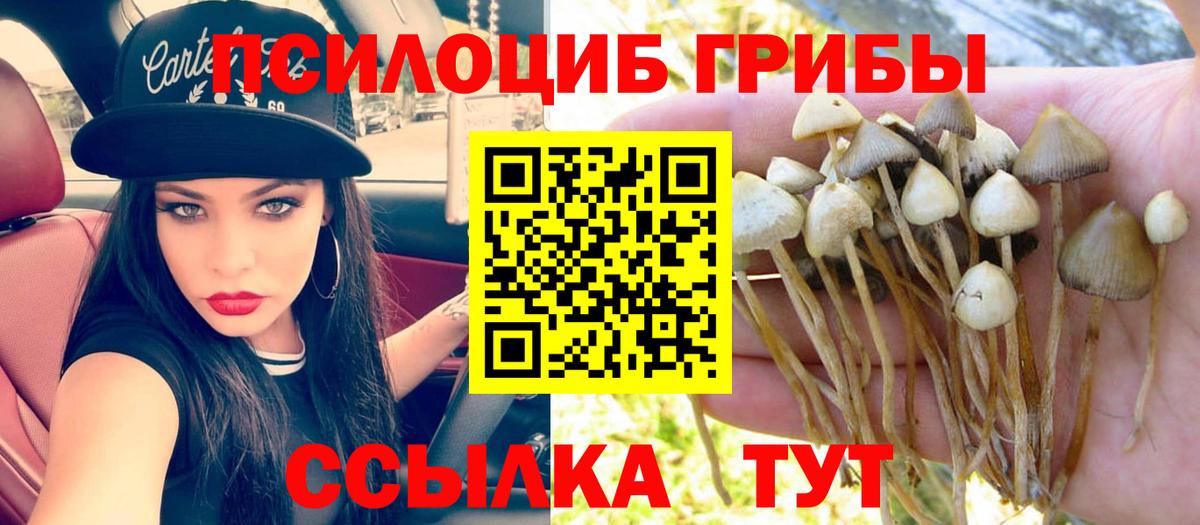 Сафоново  Галлюциногенные грибы Magic Shrooms  Вход с VPN 