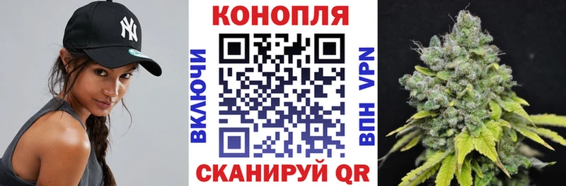 где продают   мега вход  Марихуана White Widow  Сафоново 